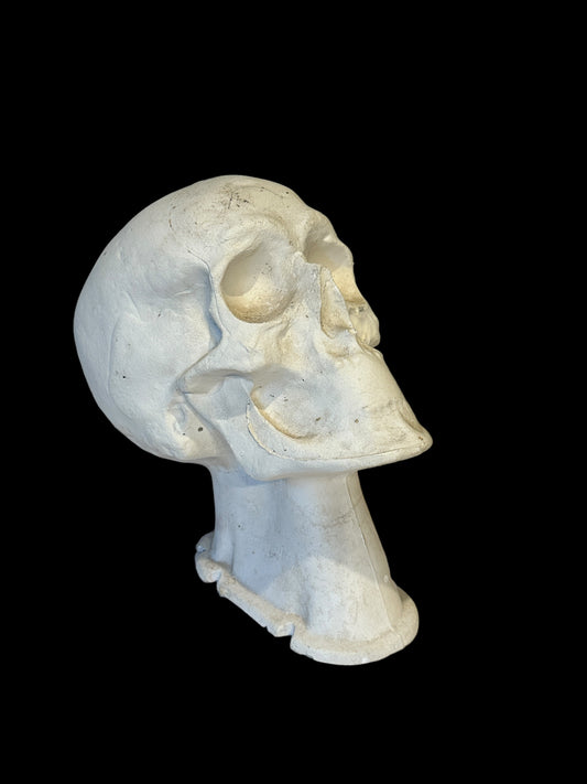 Rare Antique Funeral Mortician Mortuary Medical  Facial Skull Reconstruction
