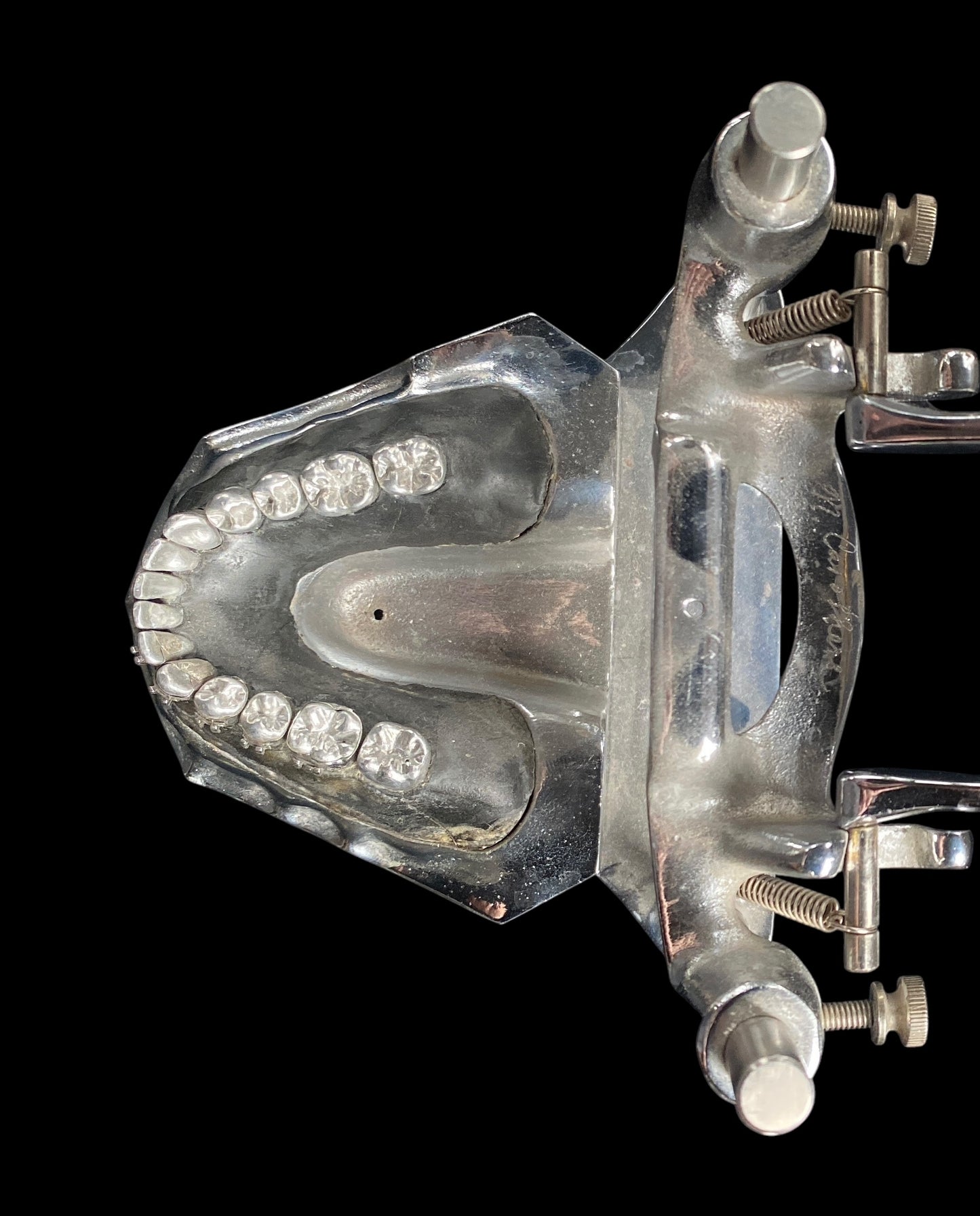Vintage Metal Typodont