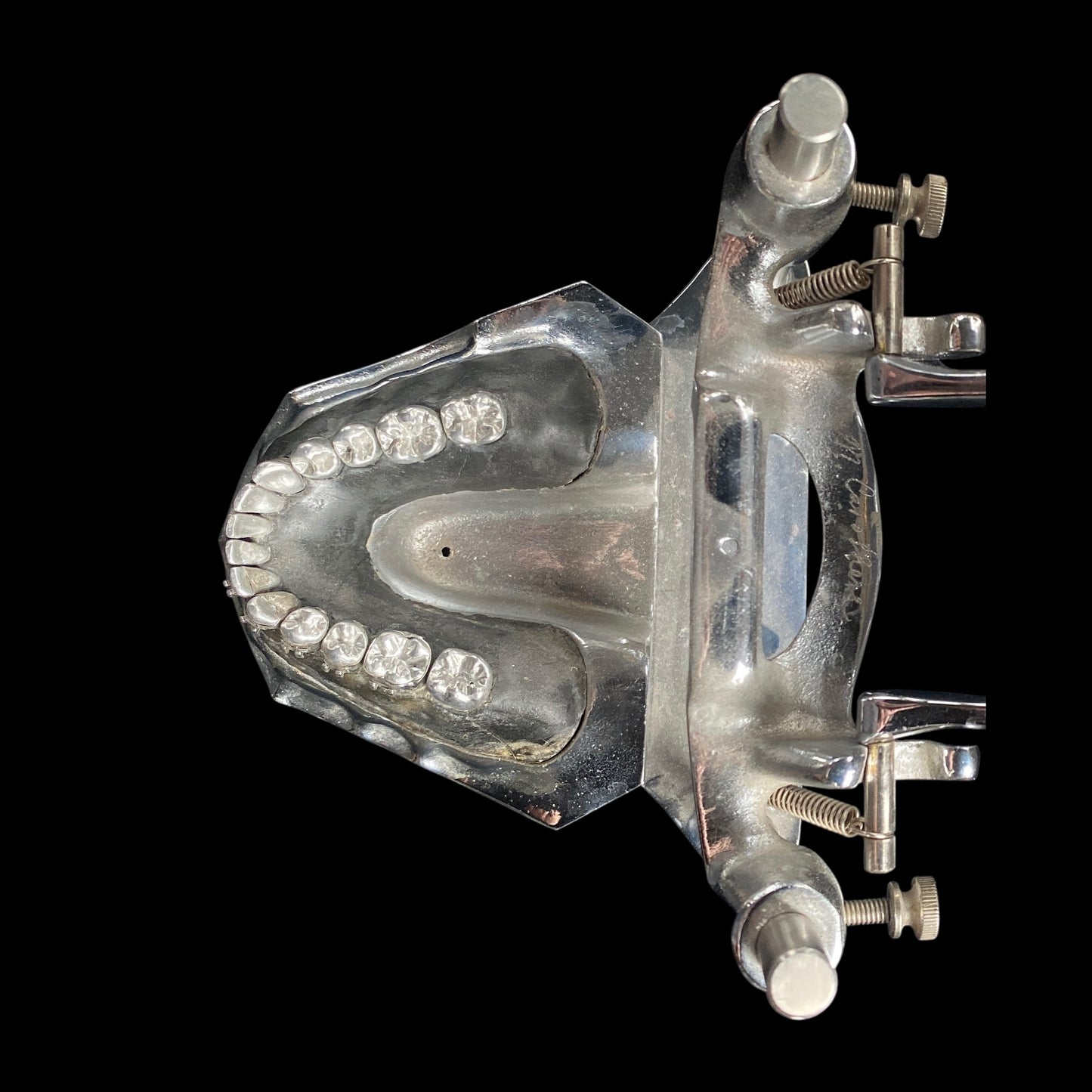 Vintage Metal Typodont