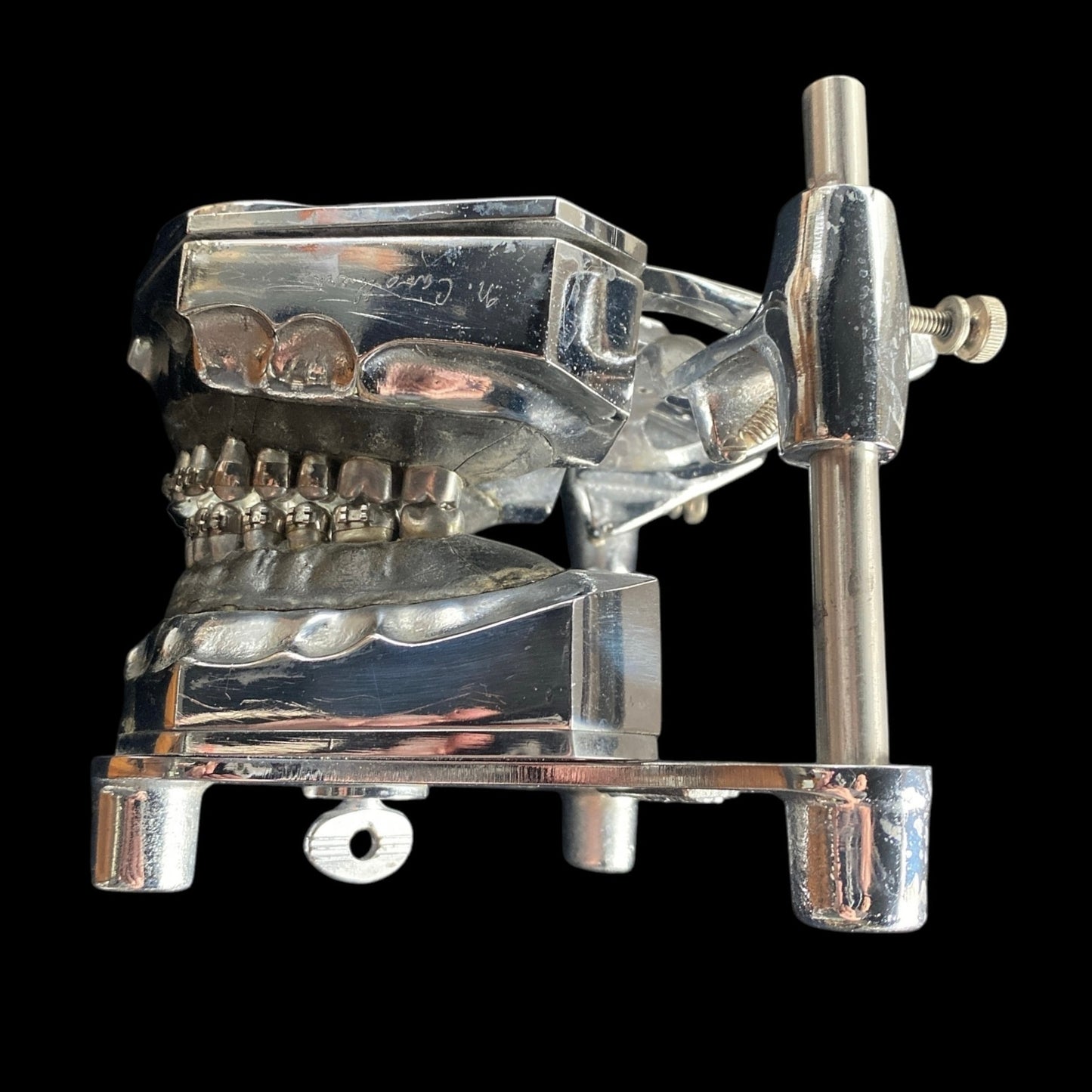 Vintage Metal Typodont