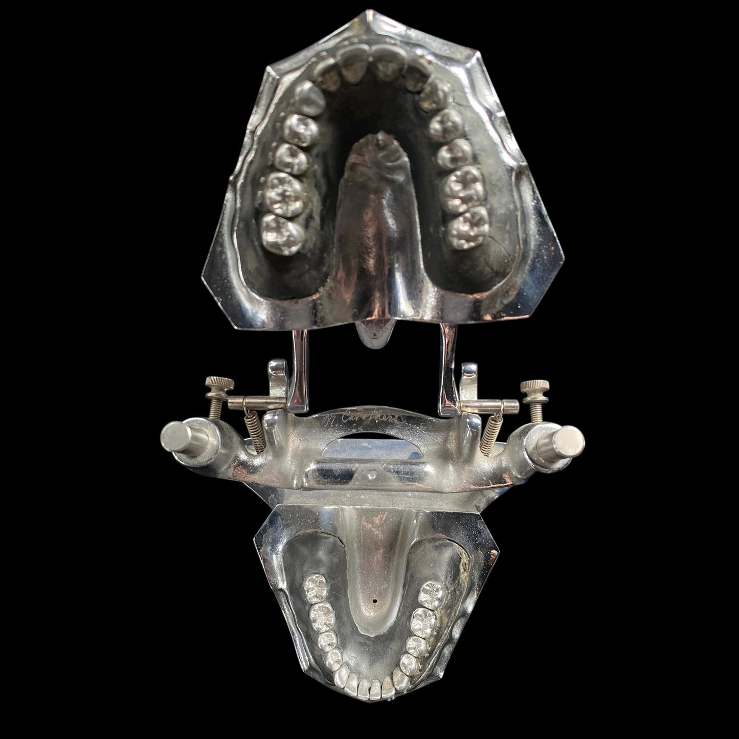 Vintage Metal Typodont