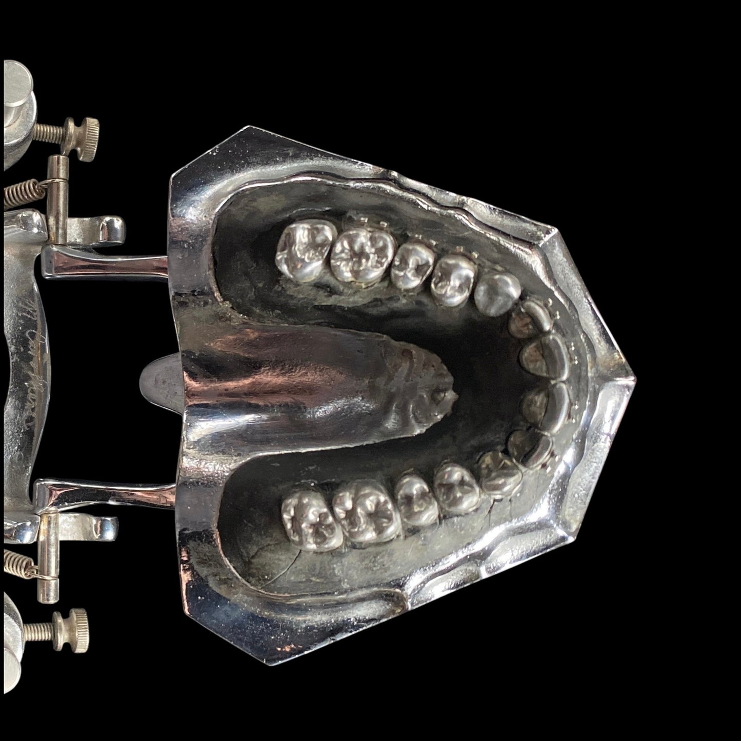 Vintage Metal Typodont