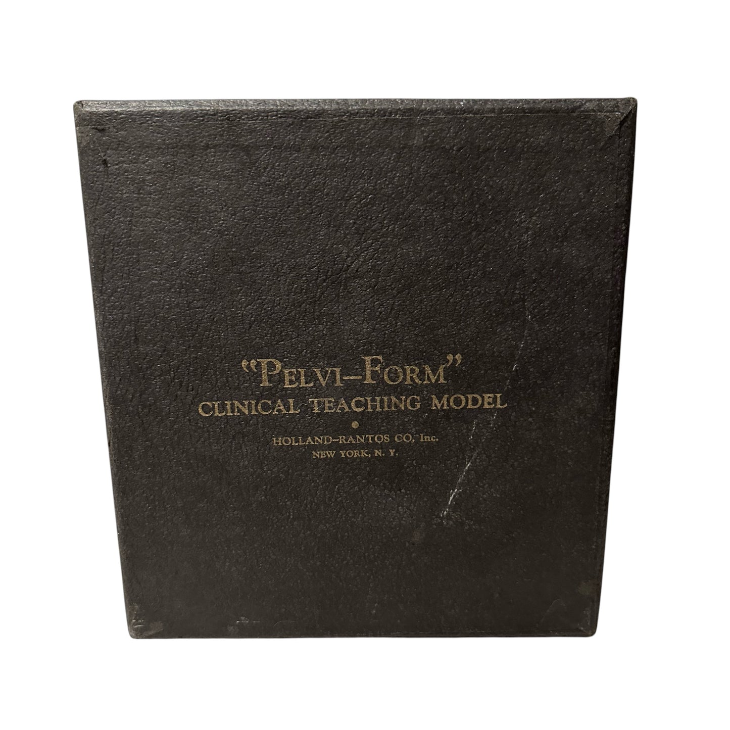 PELVI-FORM Vintage Clinical Teaching Model