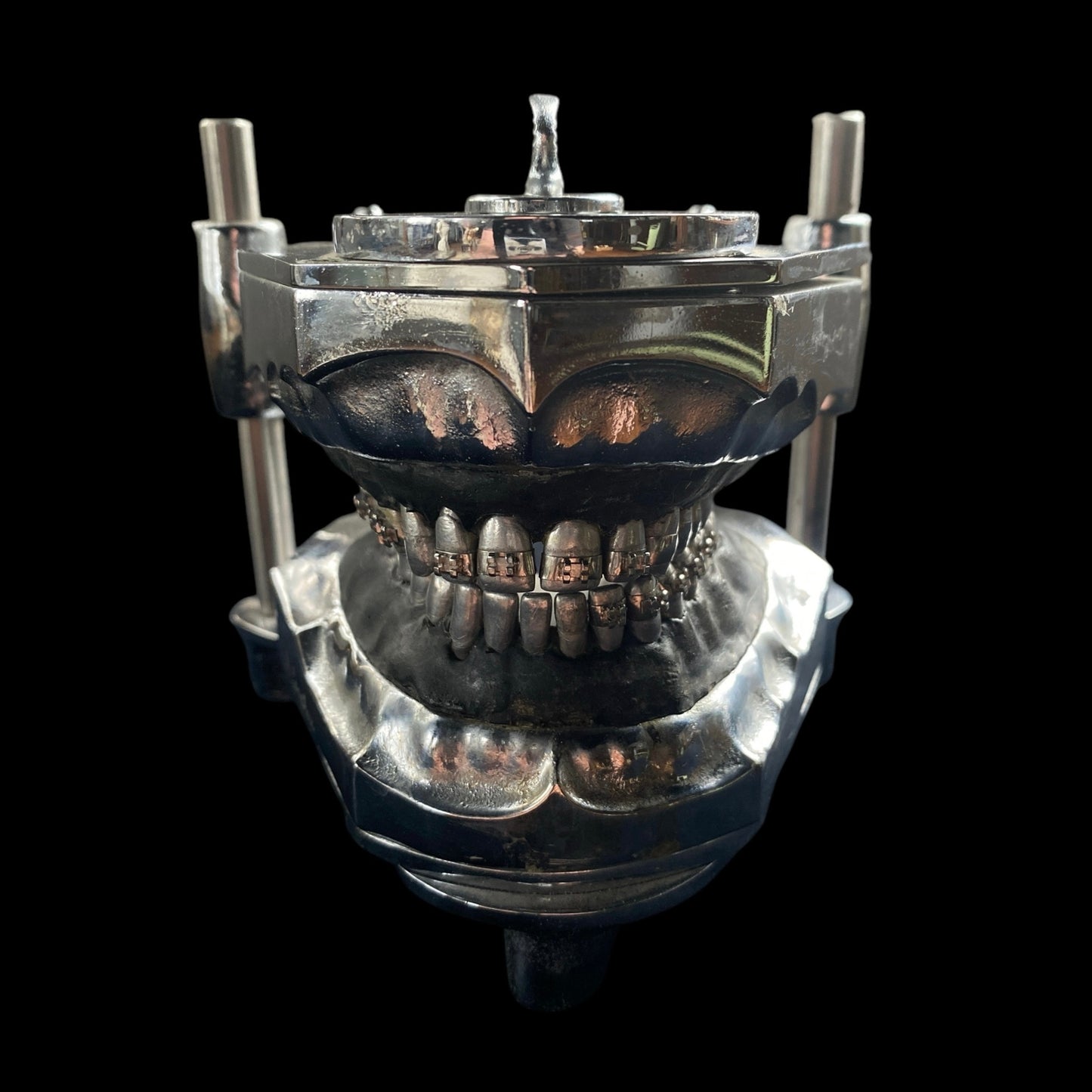 Vintage Metal Typodont