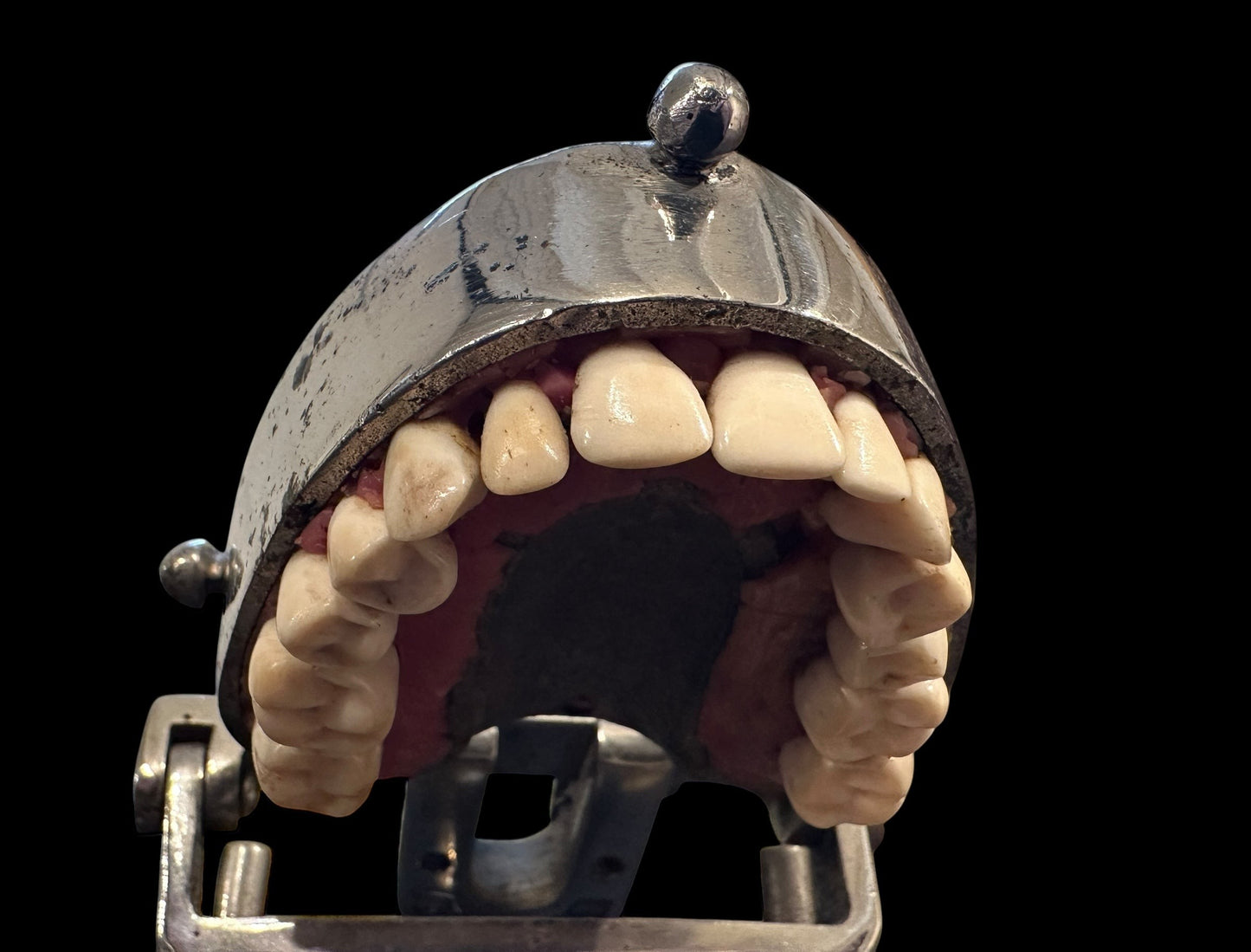 ARTERY LAB vintage 1960s/70s teaching dental typodont model with chrome holder and hinge.