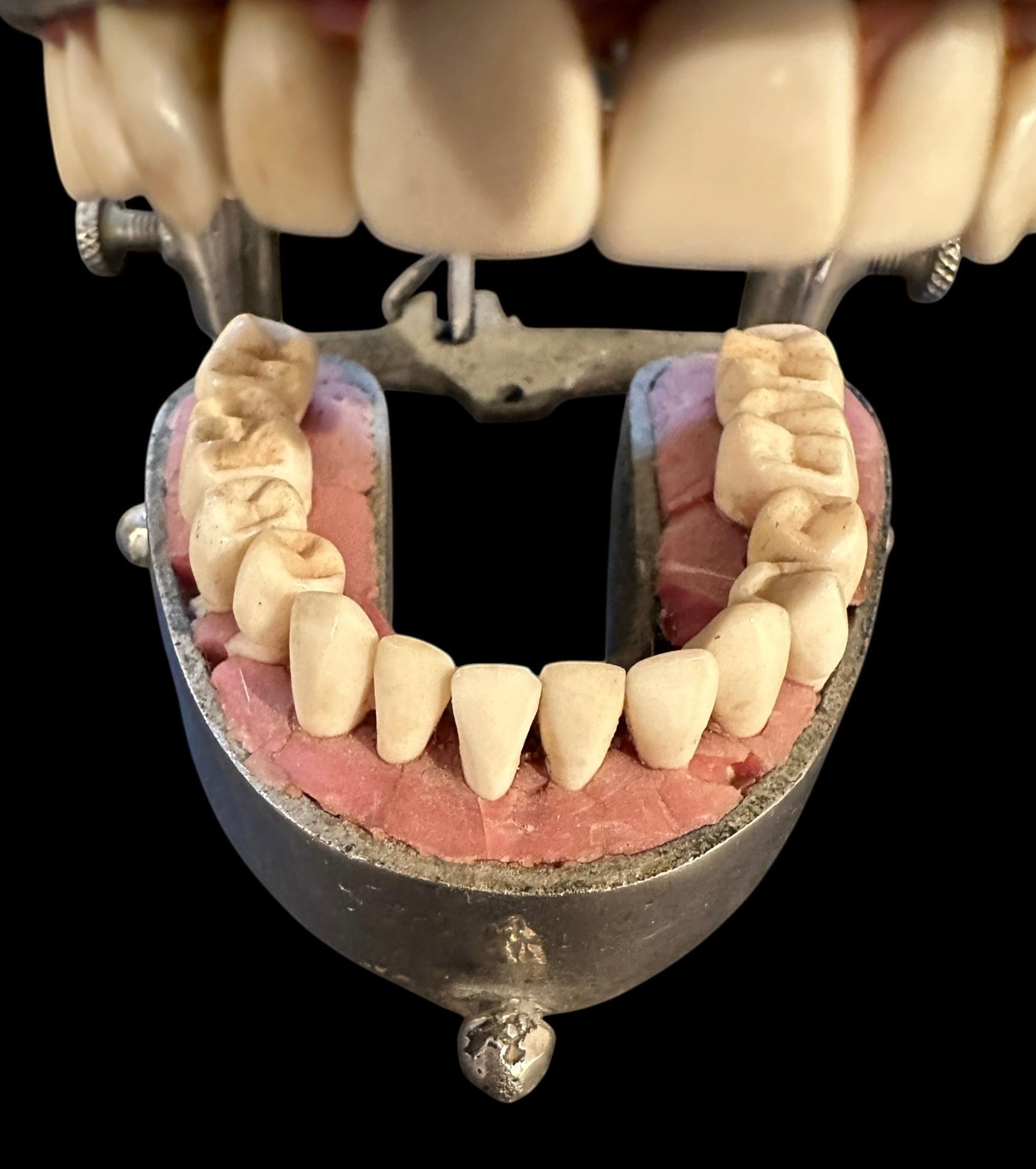 ARTERY LAB vintage 1960s/70s teaching dental typodont model with chrome holder and hinge. Features realistic teeth on pink base.