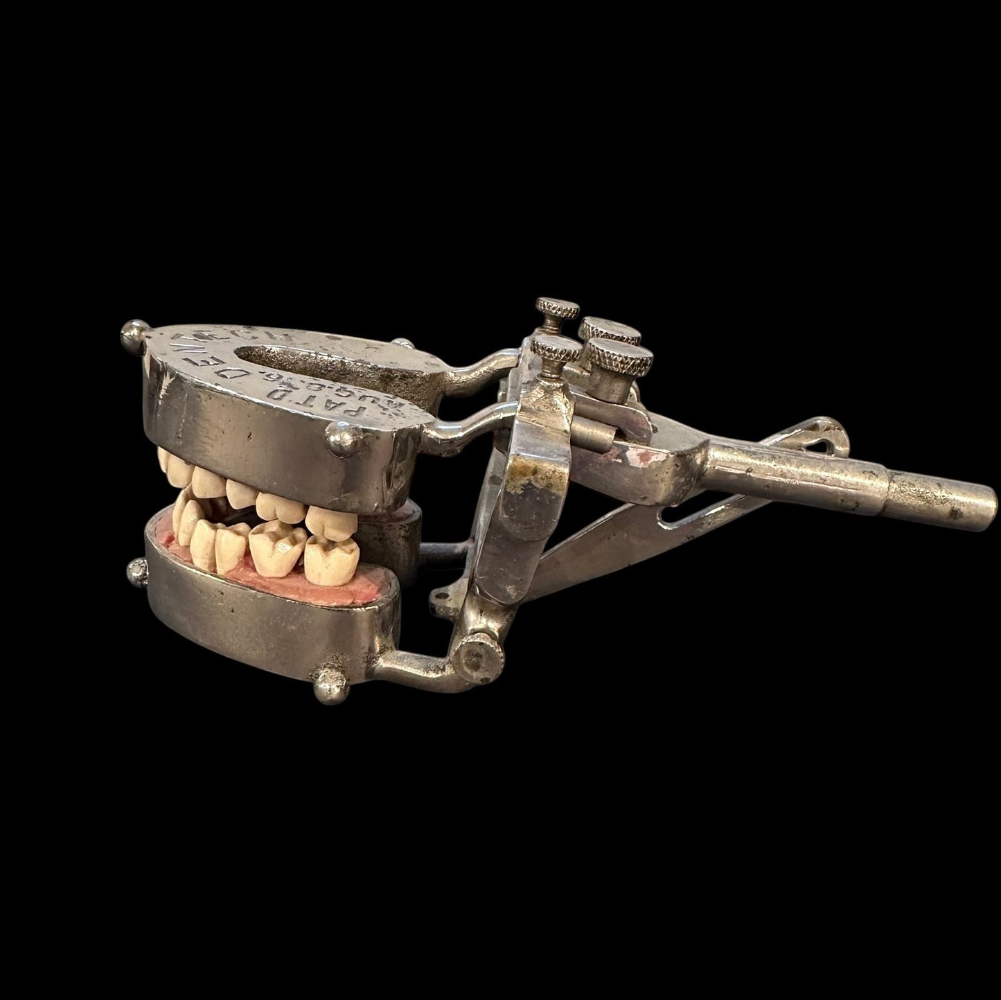 ARTERY LAB vintage 1960s/70s teaching dental typodont model with chrome holder and hinge. Shows wear consistent with age.