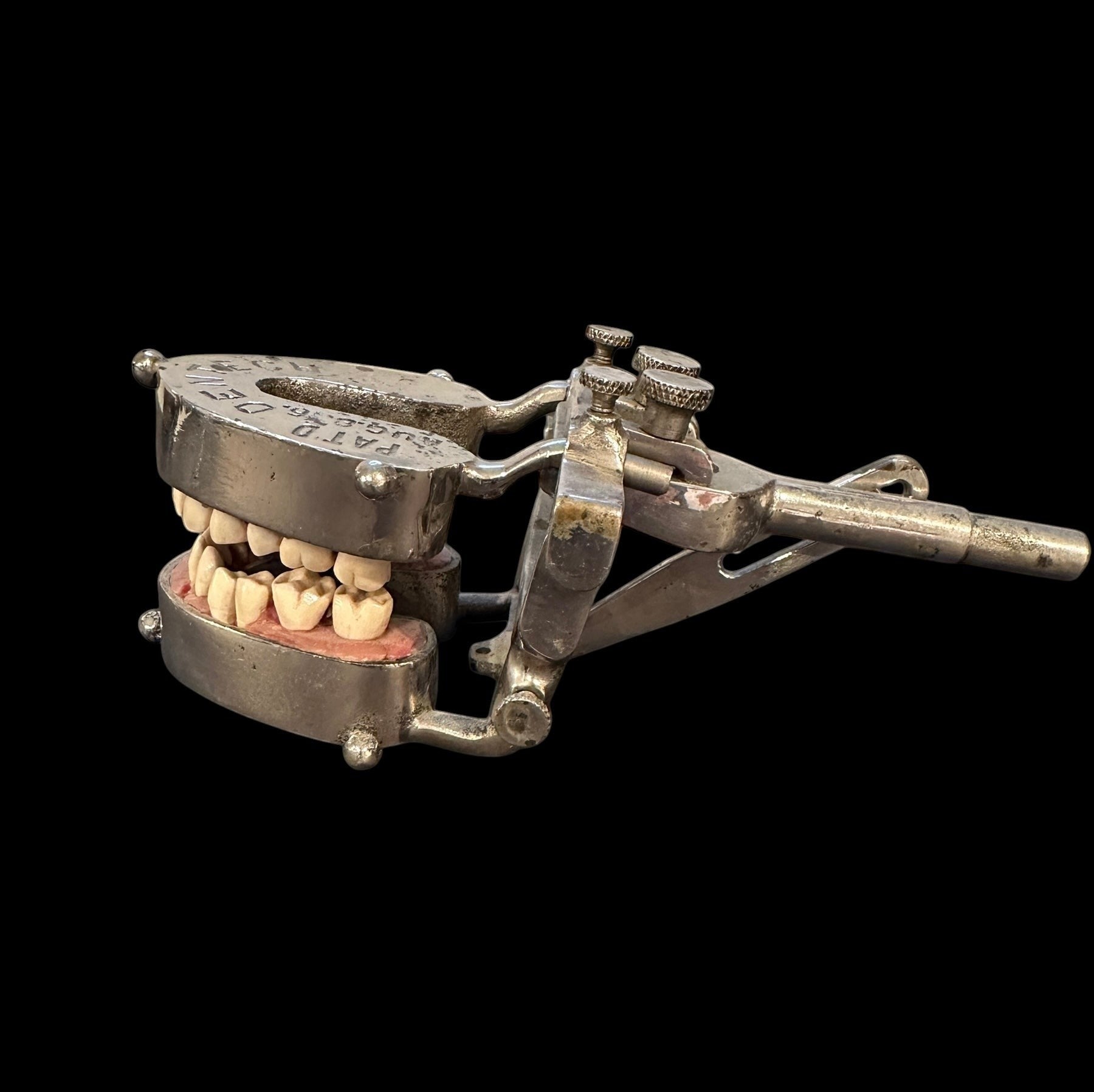 ARTERY LAB vintage 1960s/70s teaching dental typodont model with chrome holder and hinge. Shows wear consistent with age.