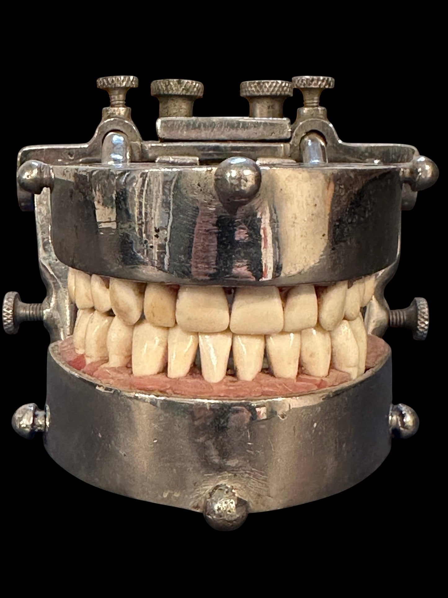ARTERY LAB vintage 1960s/70s teaching dental typodont model with chrome holder and hinge. Features realistic teeth and pink gums.