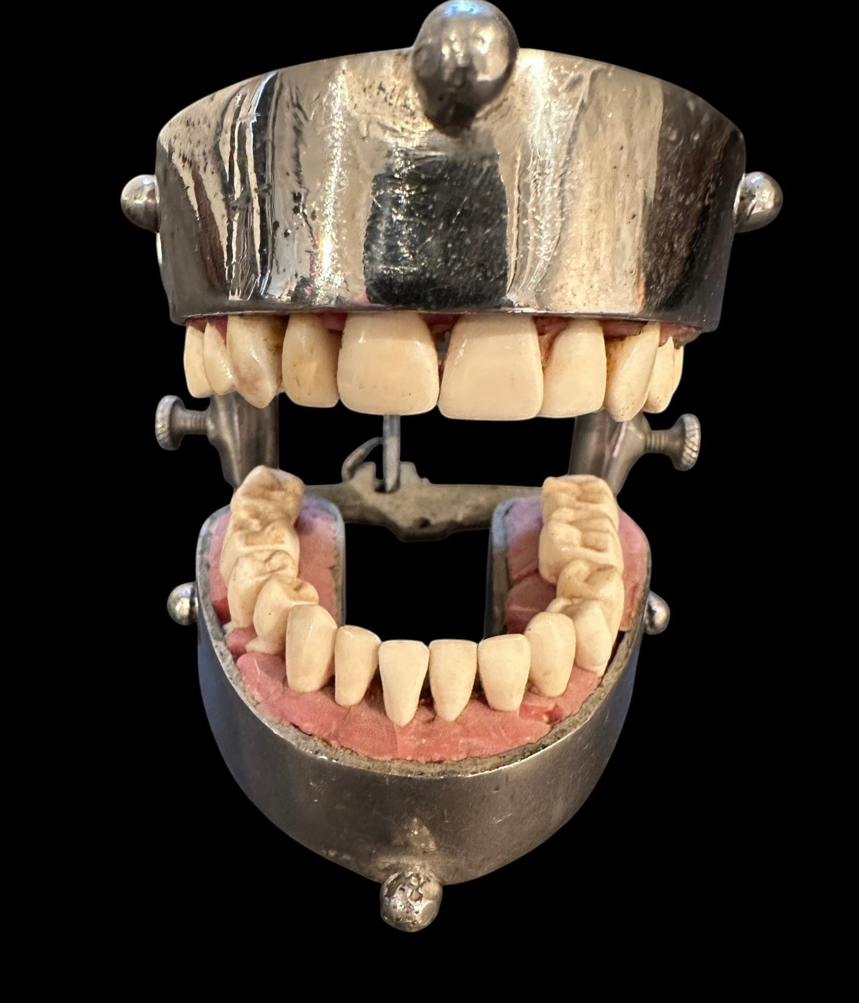 ARTERY LAB vintage 1960s/70s dental typodont teaching model with chrome holder and hinge. Features realistic teeth on pink base.